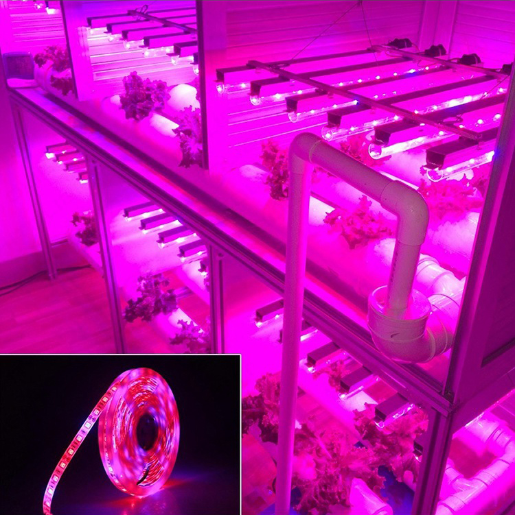 USB LED growth light String Full spectrum 5v plant light with 5050 LED plant light with indoor hydroponic growth