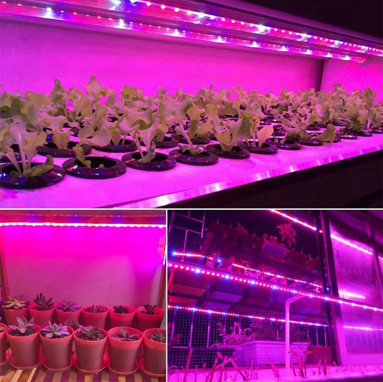 USB LED growth light String Full spectrum 5v plant light with 5050 LED plant light with indoor hydroponic growth
