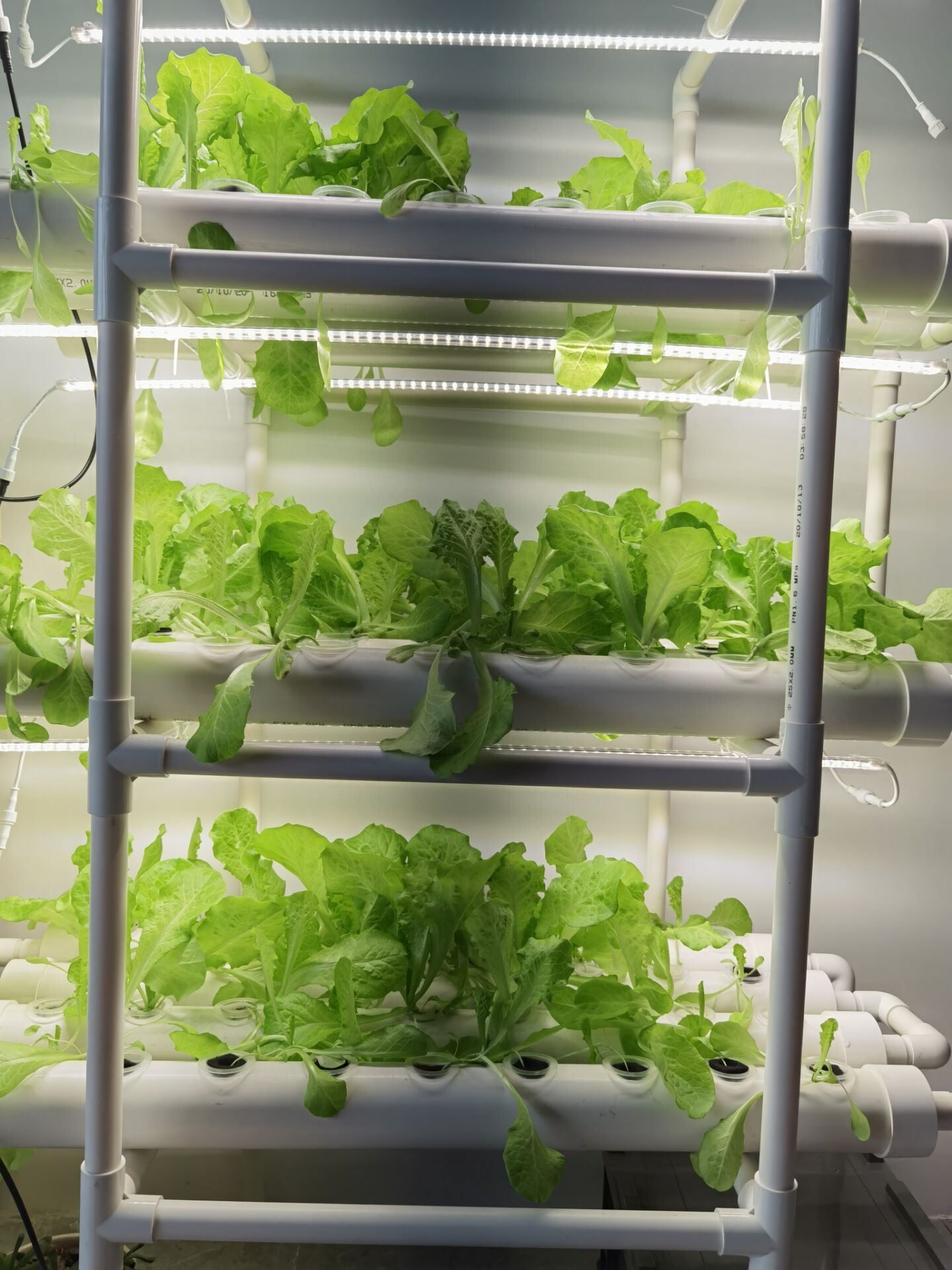 Vertical Hydroponic Plant Growing Rack Multi Layer System Grow Shelf Indoor Balcony Vegetable Herb Microgreens Production