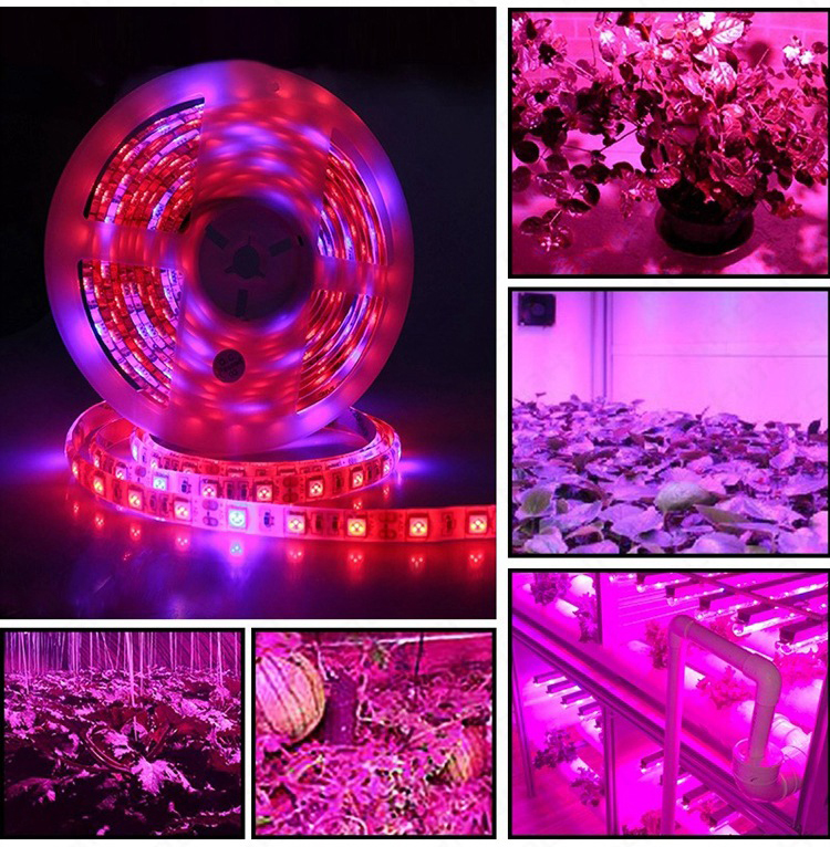 USB LED growth light String Full spectrum 5v plant light with 5050 LED plant light with indoor hydroponic growth