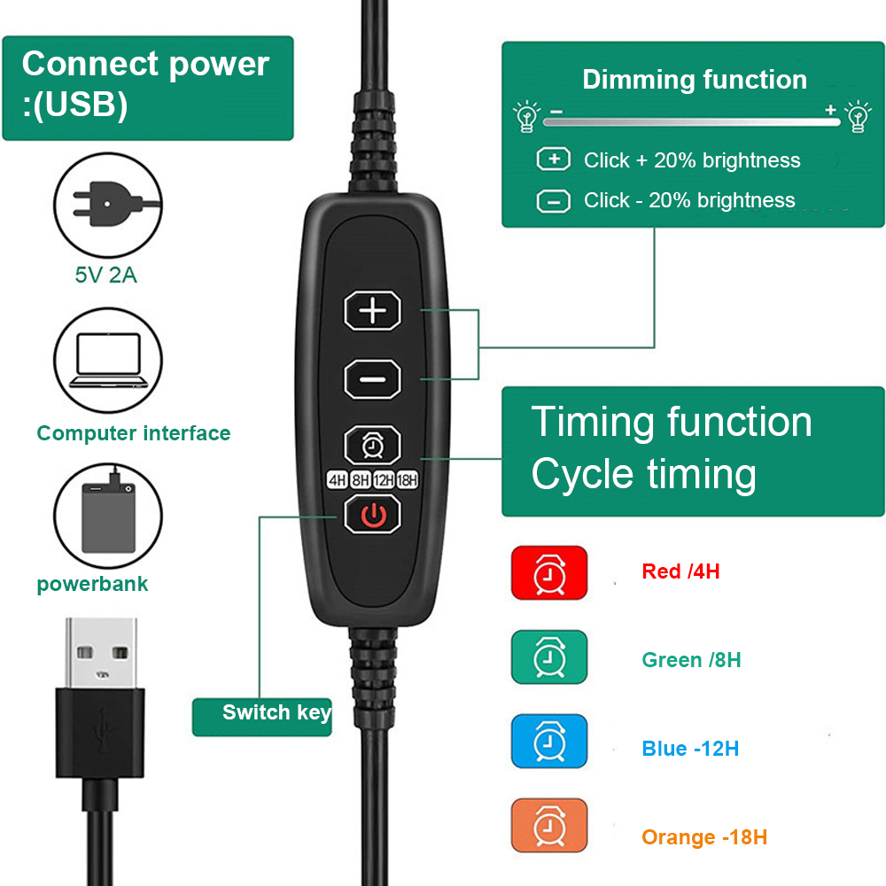 Higher Dome Seed Starter Kit Plastic Seedling Trays for Effective Germination