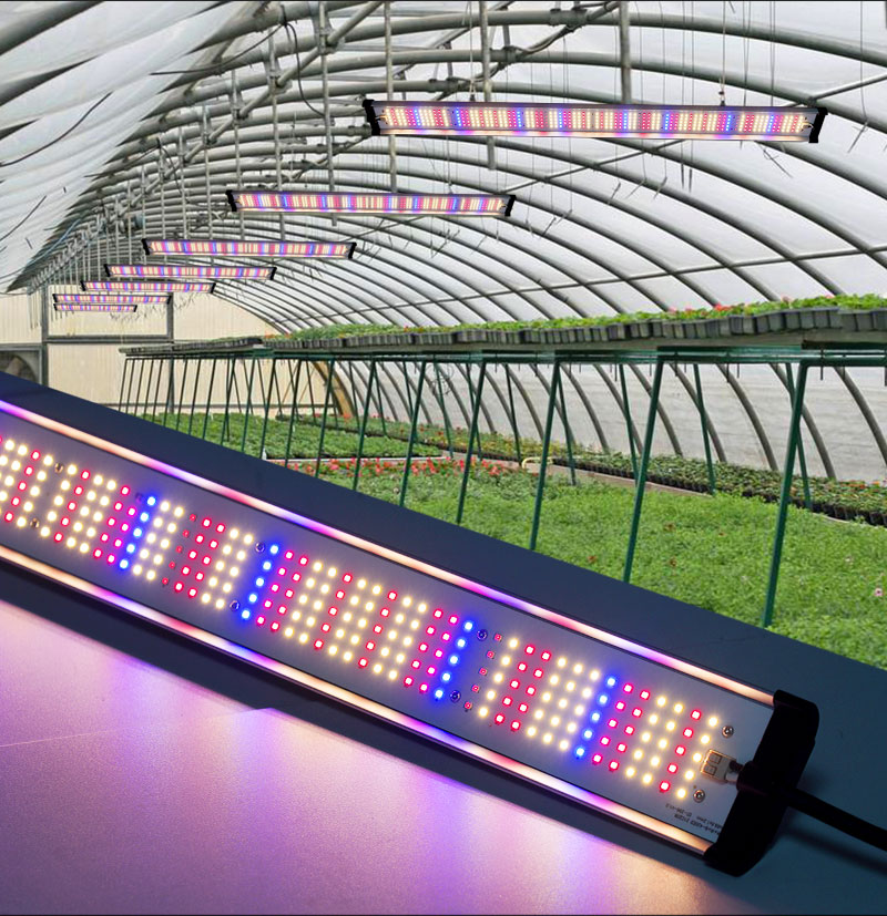 Meijiu Lighting Tube Red Blue Light Supplementary Full Spectrum LED Grow Light Strip for Indoor Plant Cultivation