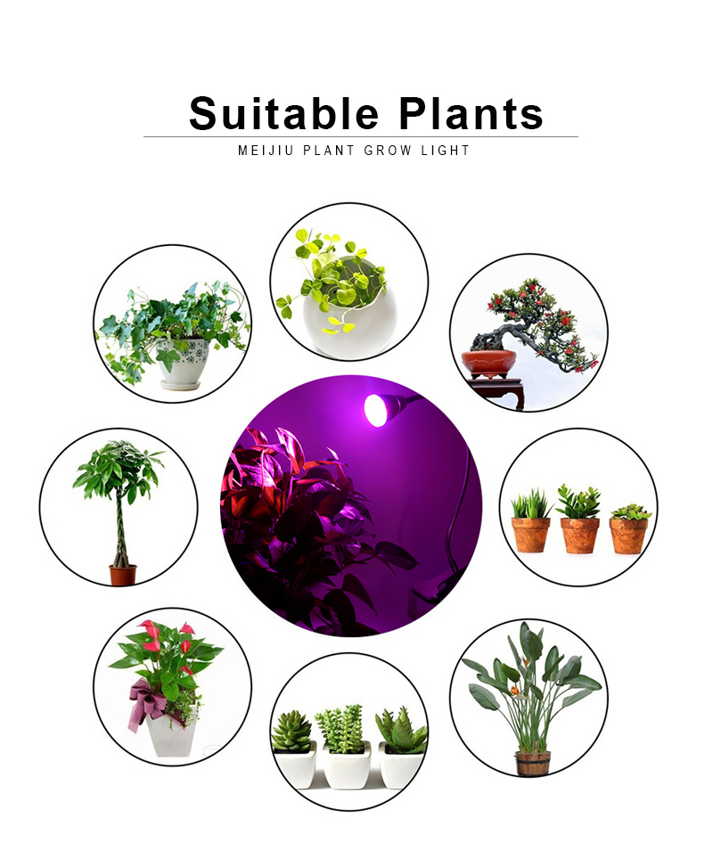 Clip-On PAR30 7W 3000K/5000K / Red Switch Mini Grow Light for Indoor Green Gardens Home Plant Supplement Lighting