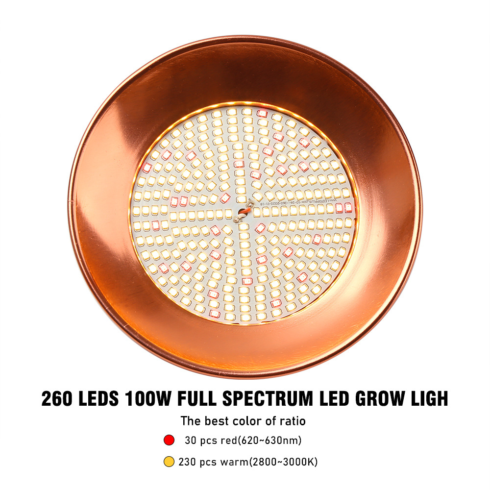 OEM/ODM IP68 35W/25W/18W RGB Swimming LED Pool Light SS316/304 12V/24V