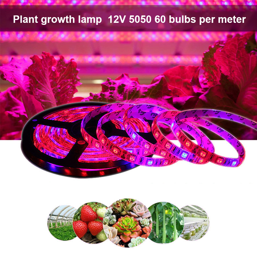 Full Spectrum LED Grow Light Strip 12V Flexible Phyto Lamp for Indoor Hydroponic Greenhouse Plant Growing Tape Home Use