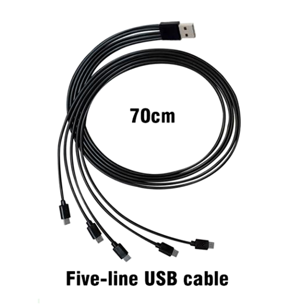 Wholesale Garden Nursery Plant Seed Grow Tray With Lid 12 Cell Germination Seedling Starter Tray Kit With Dome Grow Light