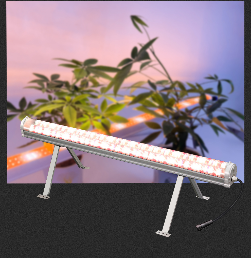 High-Power 100W-150W IP65 COB LED Grow Lights with LM301B 4000K Spectrum for Greenhouse Seedling Cultivation