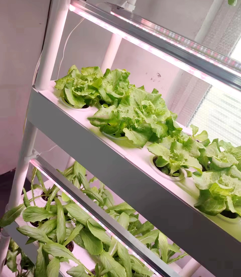 Balcony Gardening Vegetable Growing Hydroponic System for Kitchen 3-layer Smart Planter