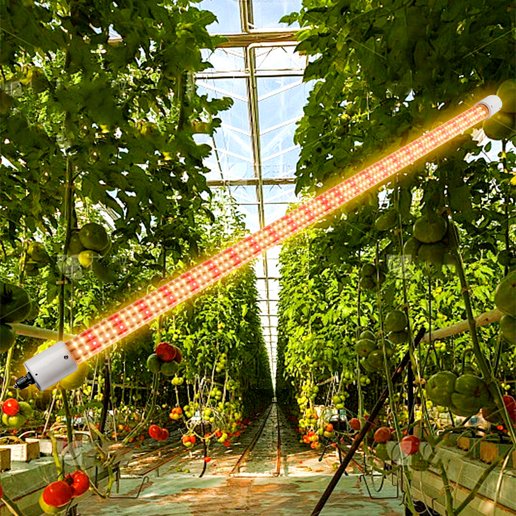 Full Spectrum Timing Intelligent Dimming LED Plant Growth Light for Indoor Plants Multi-Layer Hydroponic Planting