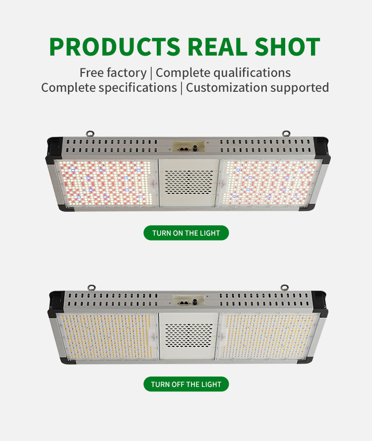 Commercial Greenhouse Hydroponics Red Blue Full Spectrum LED Grow Top Lighting 800W