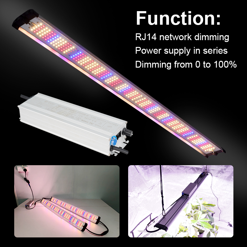 Hydroponic Veg Flower Stages Plant Lighting Strip 4x4ft Full Spectrum LED Grow Light with Samsung LM301H Evo LM281B