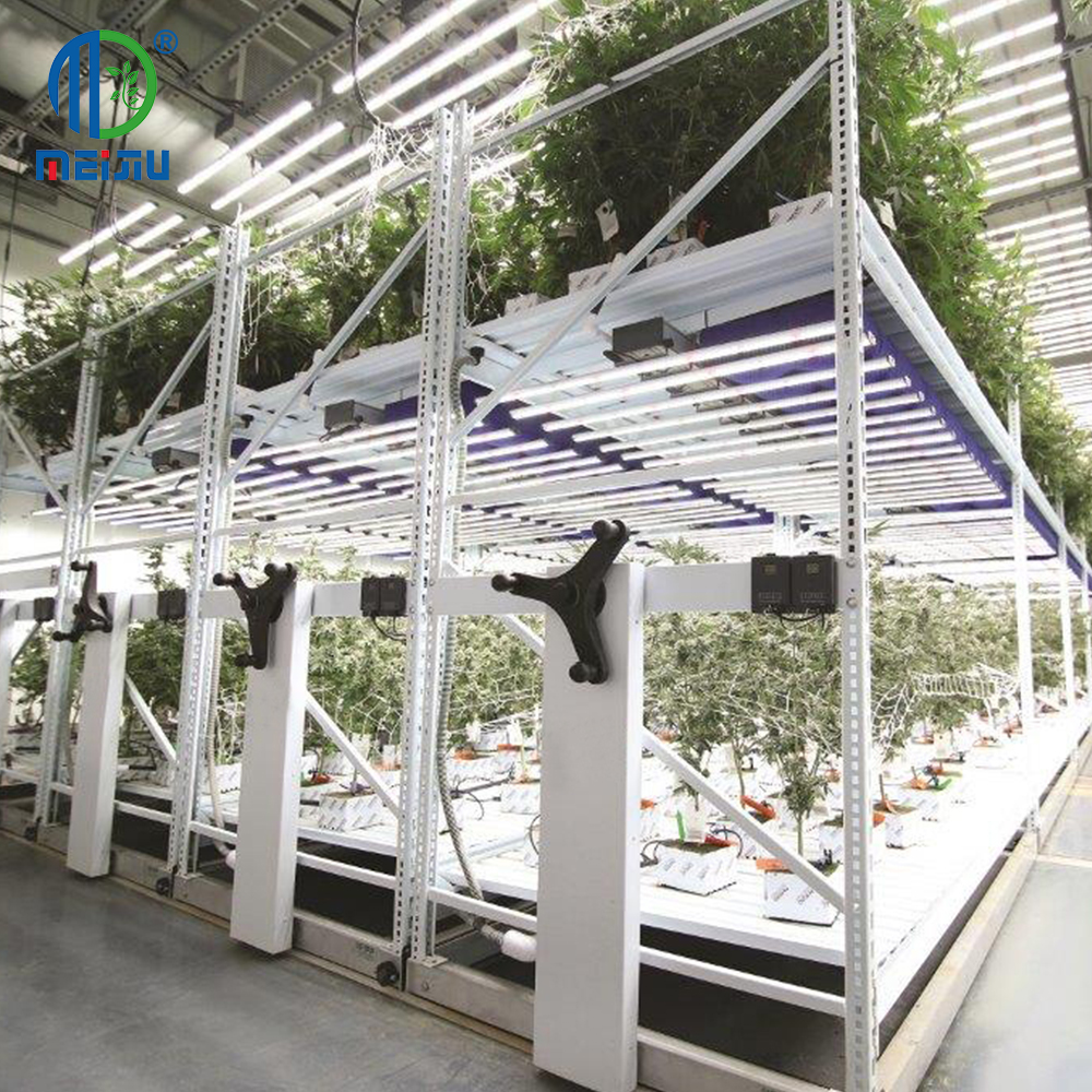 2-Layer Rotatable Rolling Bench