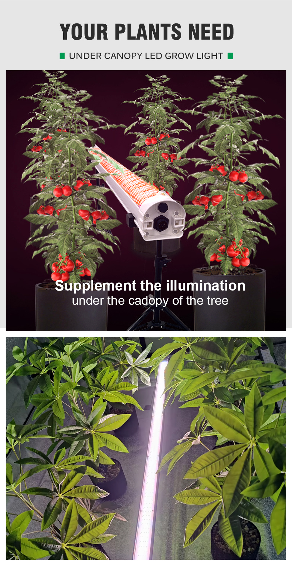 US Stock 150W Full Spectrum Under Canopy LED Grow Lights with High-Efficiency Chips for Indoor Growing