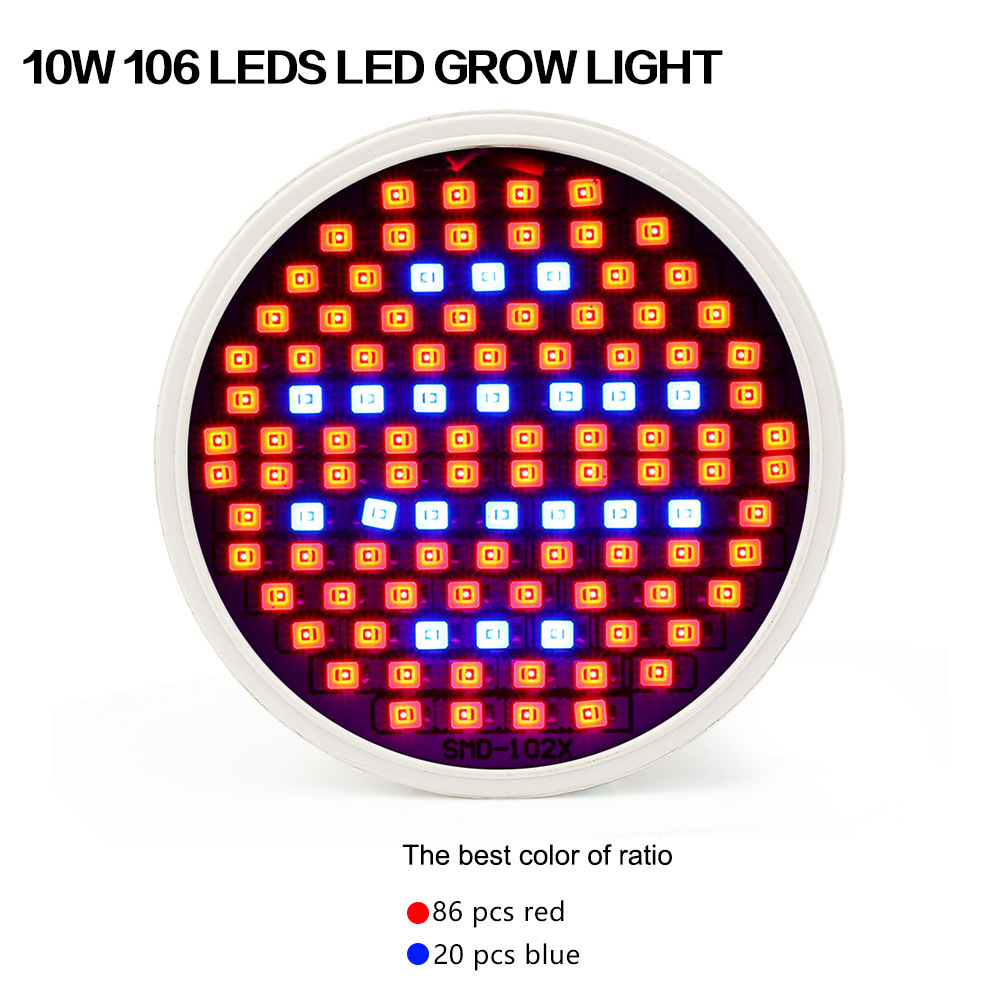 300 LED Red & Blue Light Therapy Beauty Lamp for Skin Rejuvenation & Acne Treatment