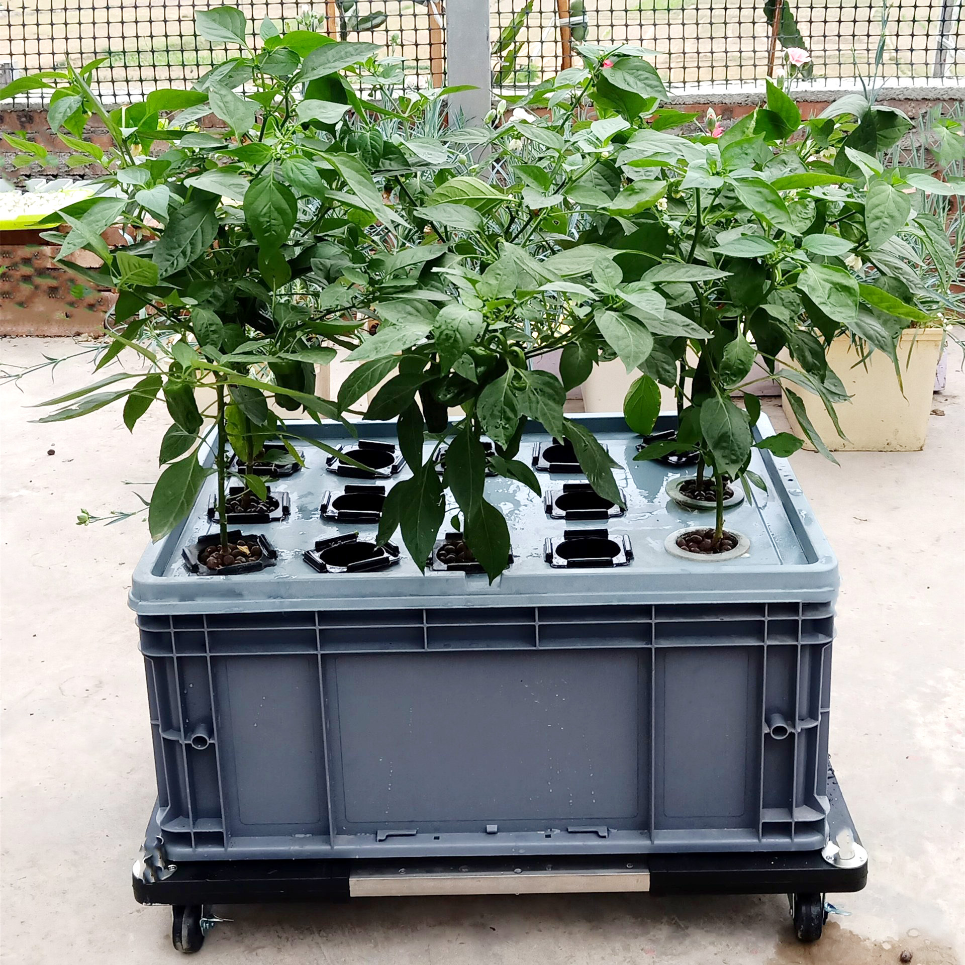 Aeroponic Planting Box for Indoor and Outdoor Greenhouse Home Veggies Growing and Planting