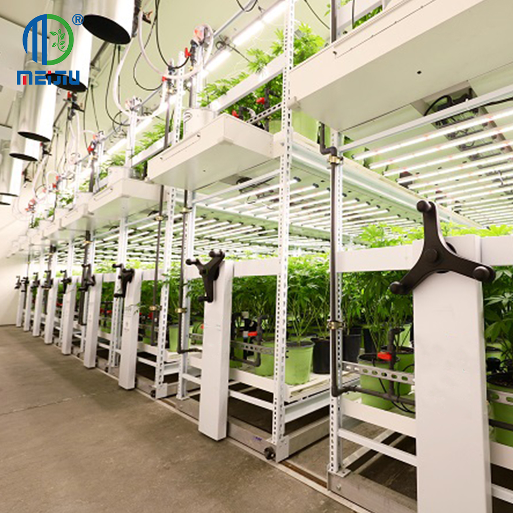 2-Layer Rotatable Rolling Bench