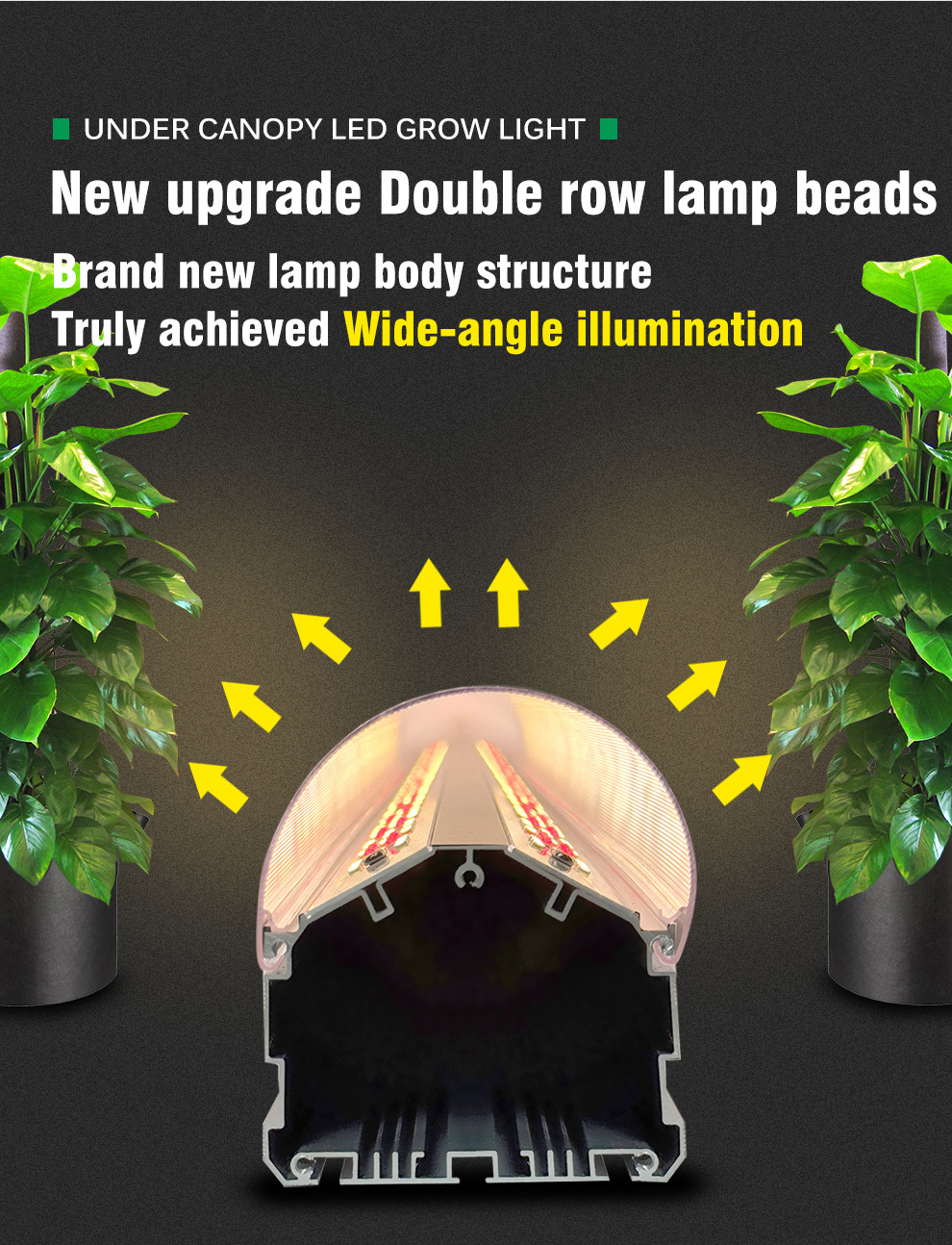 High-Power 100W-150W IP65 COB LED Grow Lights with LM301B 4000K Spectrum for Greenhouse Seedling Cultivation