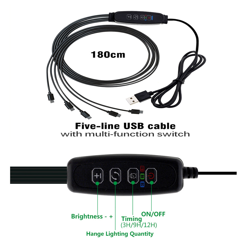 Wholesale Garden Nursery Plant Seed Grow Tray With Lid 12 Cell Germination Seedling Starter Tray Kit With Dome Grow Light