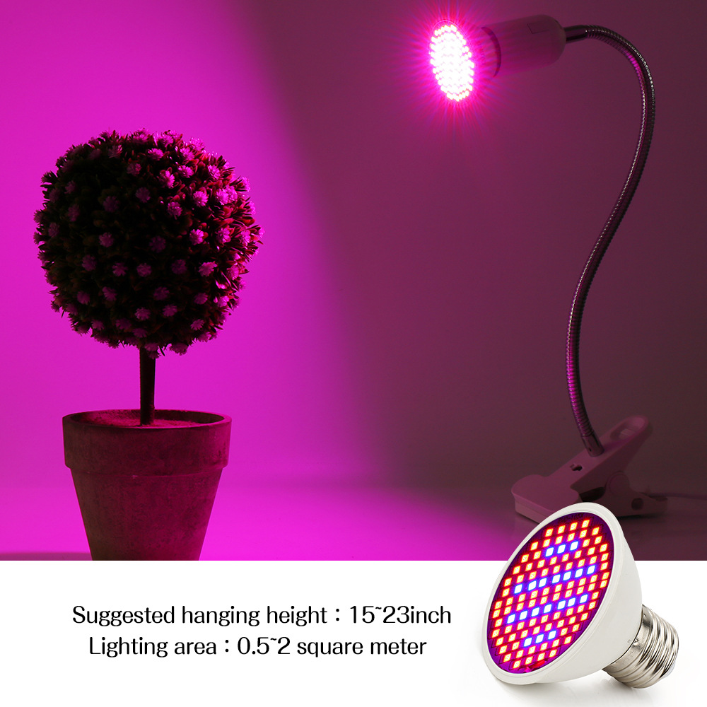 300 LED Red & Blue Light Therapy Beauty Lamp for Skin Rejuvenation & Acne Treatment