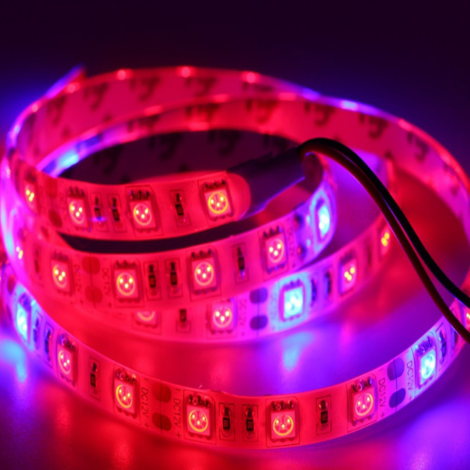 Full Spectrum LED Grow Light Strip 12V Flexible Phyto Lamp for Indoor Hydroponic Greenhouse Plant Growing Tape Home Use