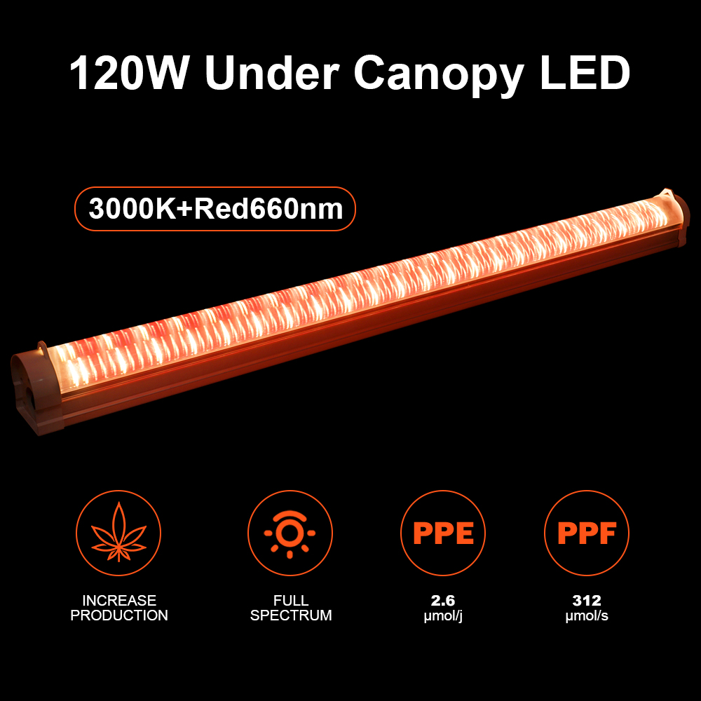 IP65 Waterproof Under Canopy LED Grow Lights 120W for Commercial Agriculture and Greenhouses