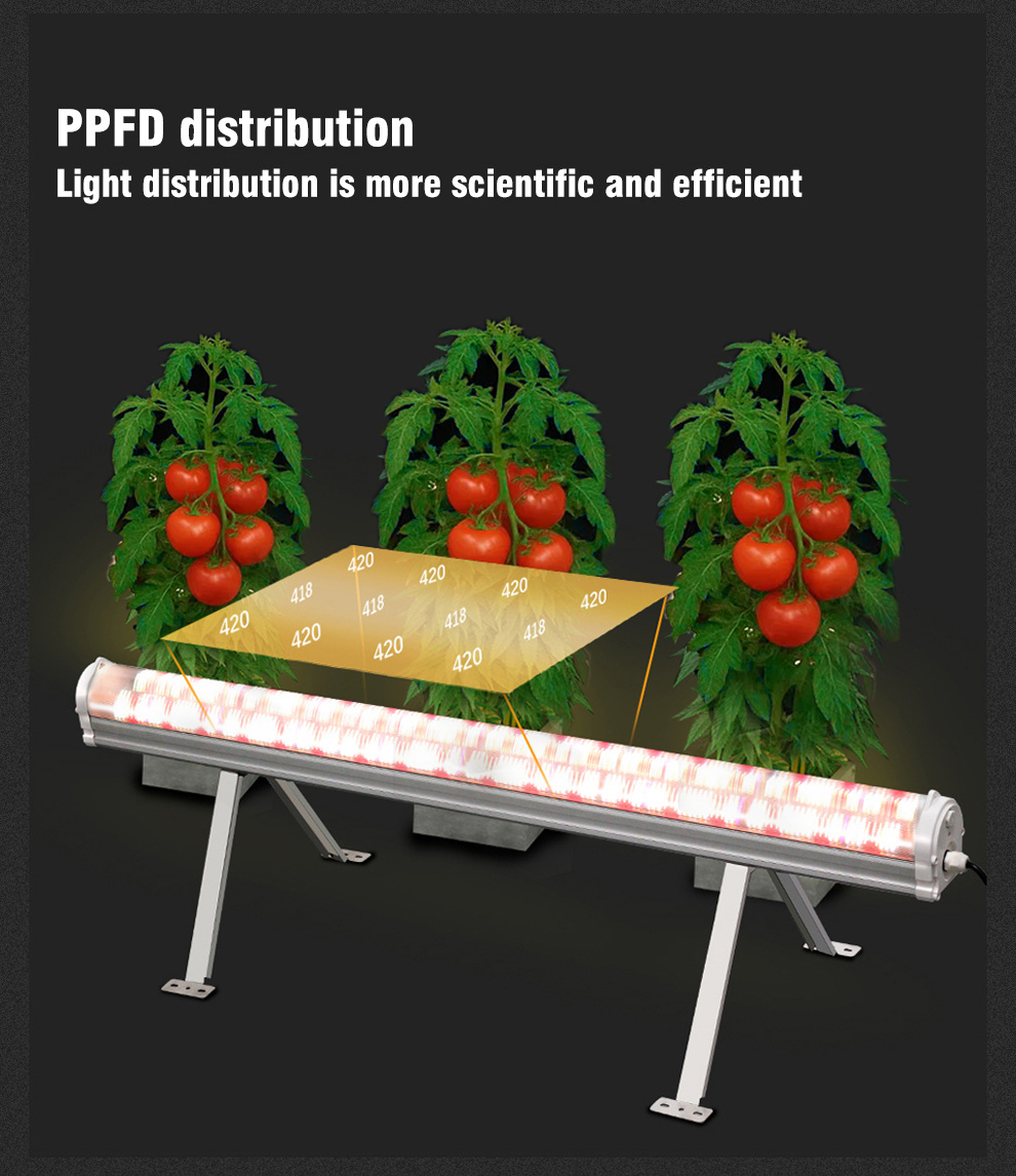 US Stock 150W Full Spectrum Under Canopy LED Grow Lights with High-Efficiency Chips for Indoor Growing