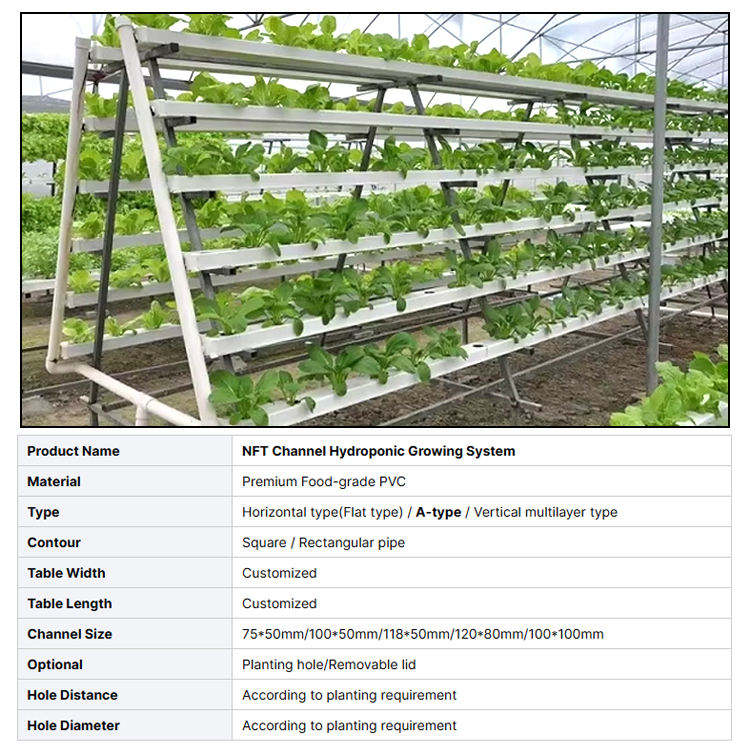 Hydroponics Indoor Vertical Farm CEA Planting Rack Shelf, Small Greenhouse Grow Table Leafy Green Fruit Vegetables Plant