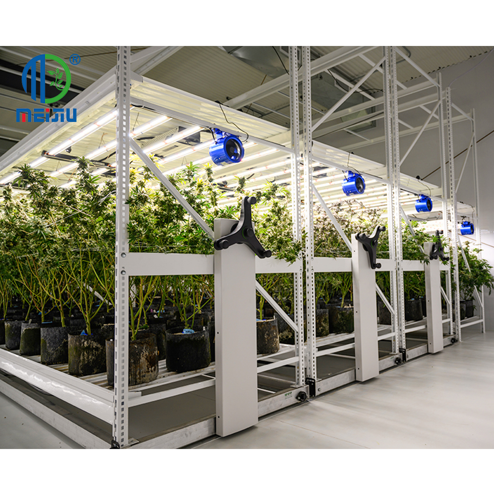 2-Layer Rolling Bench