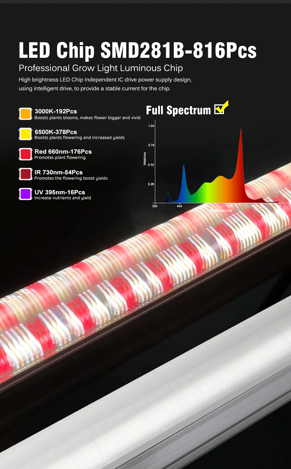 High-Power 100W-150W IP65 COB LED Grow Lights with LM301B 4000K Spectrum for Greenhouse Seedling Cultivation