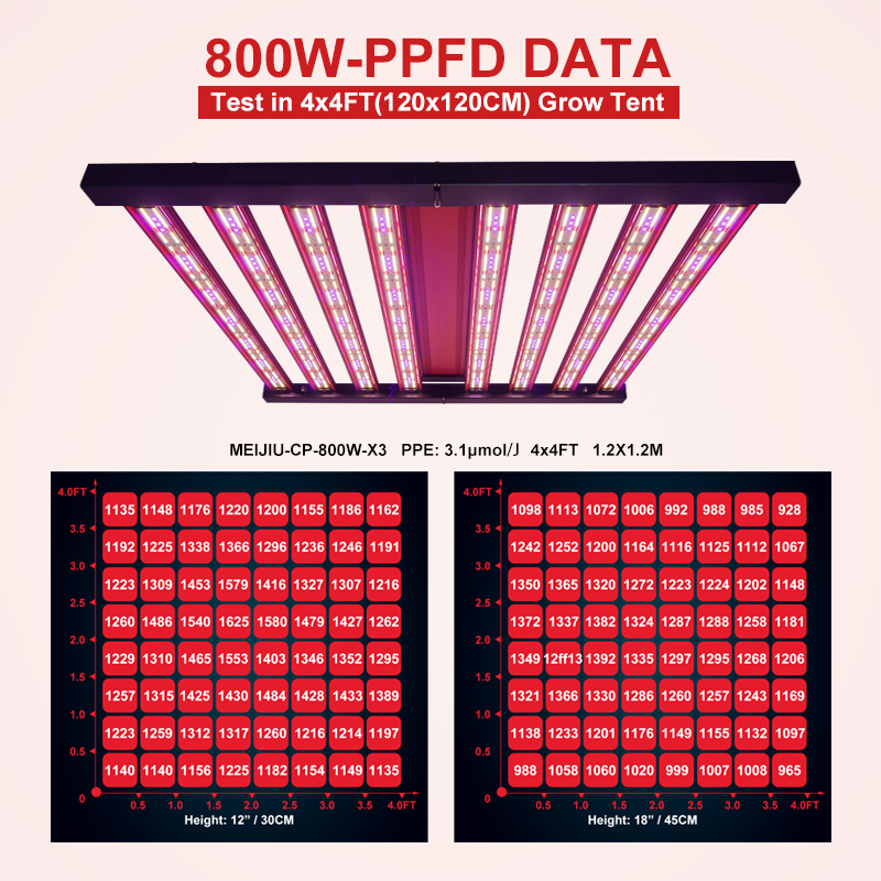 Indoor Plant Grow Light 1000W Full Spectrum High Efficiency LED for Greenhouse Vertical Farm Grow Tent Use