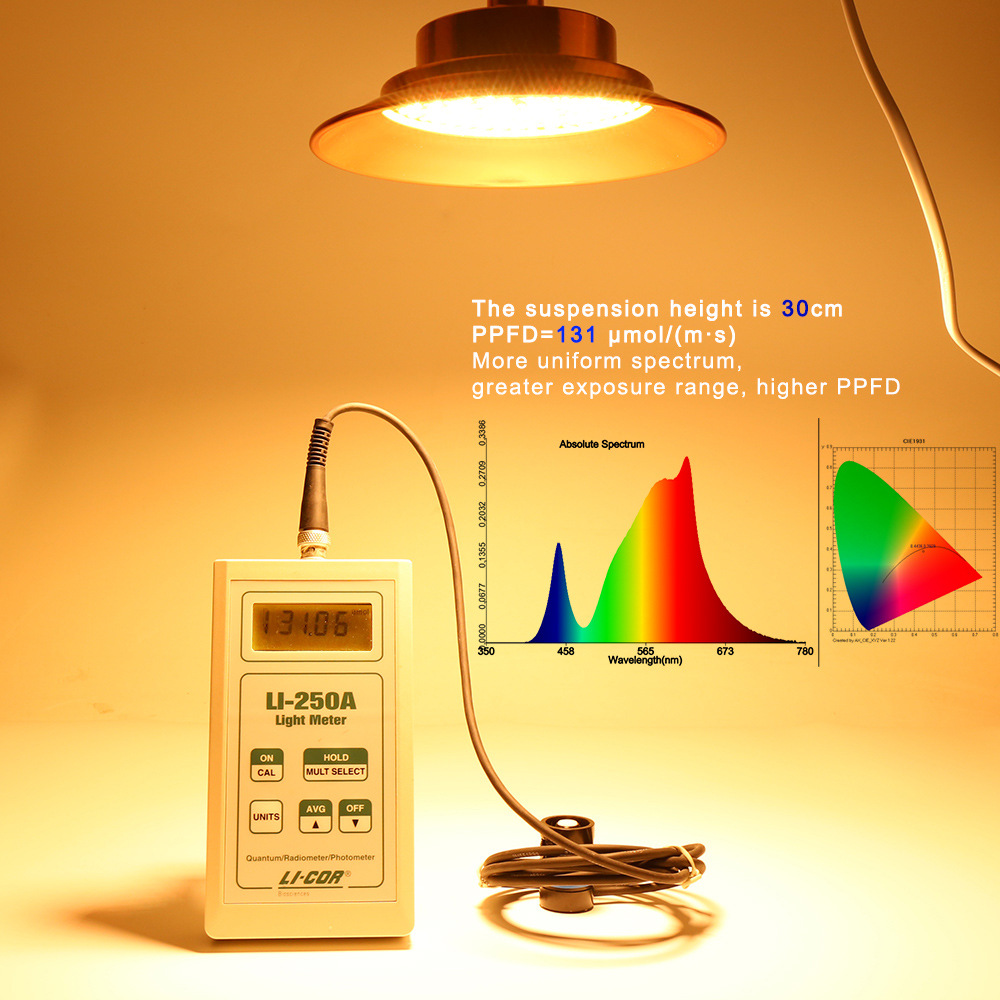 OEM/ODM IP68 35W/25W/18W RGB Swimming LED Pool Light SS316/304 12V/24V