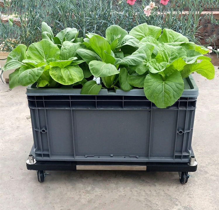 Aeroponic Planting Box for Indoor and Outdoor Greenhouse Home Veggies Growing and Planting