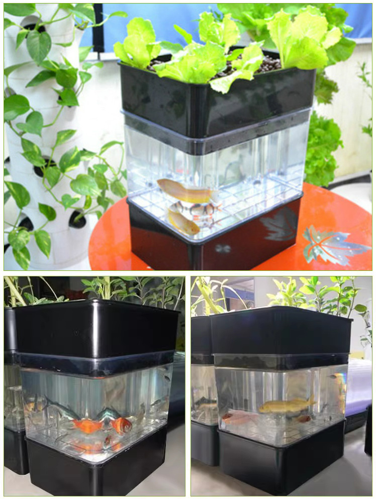 Smart Home Hydroponic Growing System Fish Culture Indoor LED Grow Light with Eco-Friendly Fishtank Flower Pots & Planters