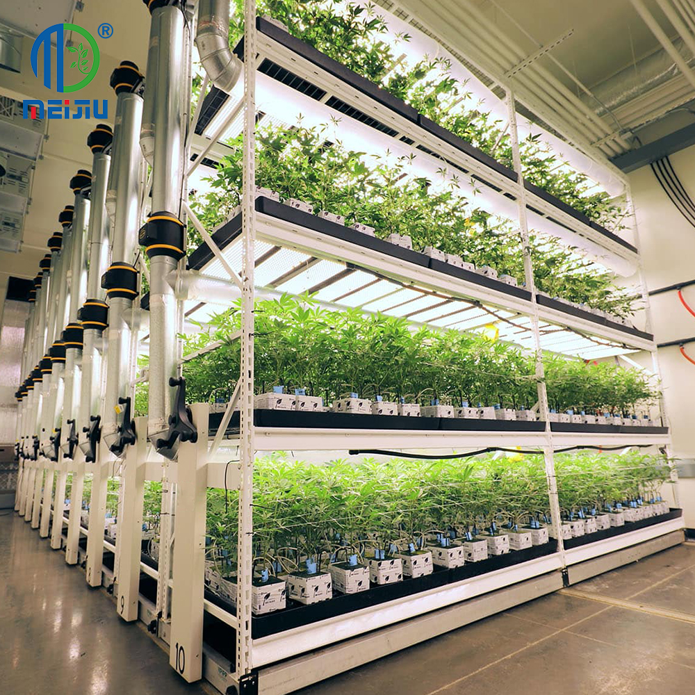 2-Layer Rolling Bench