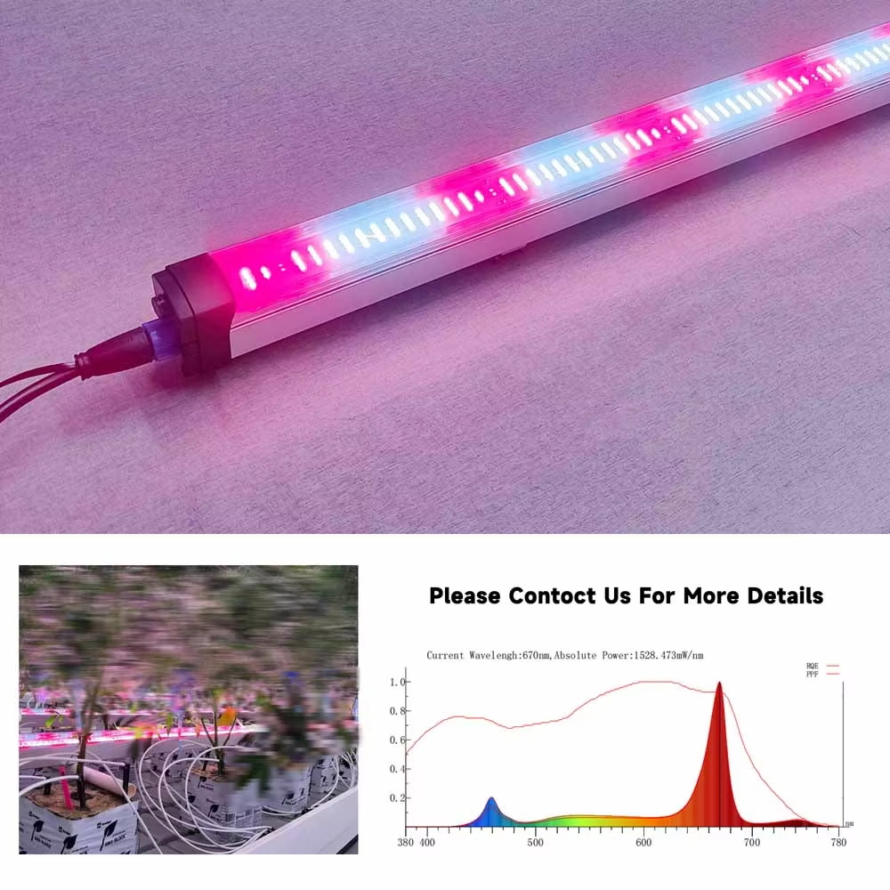 Dimmable IP66 Daisy Chained 120W Under Canopy LED Grow Lights with COB Chip and Aluminum Body for Plant Growth