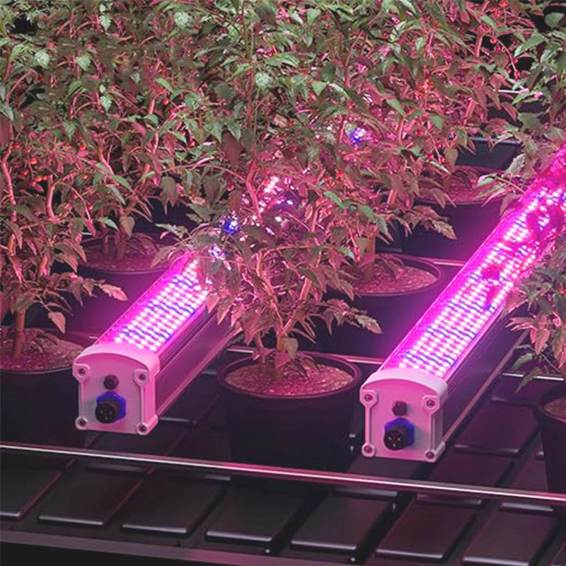 400W Triple-Dimmable Full Spectrum LED Grow Lights LM281B/LM301B/LM301H for Indoor Plant Growth