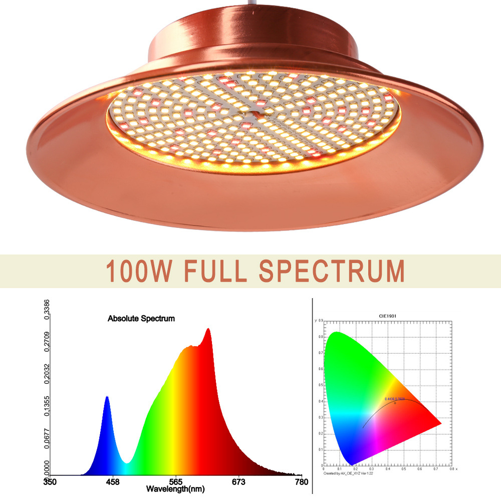 OEM/ODM IP68 35W/25W/18W RGB Swimming LED Pool Light SS316/304 12V/24V