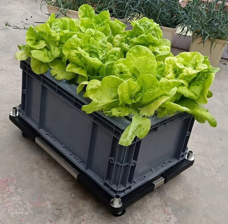Aeroponic Planting Box for Indoor and Outdoor Greenhouse Home Veggies Growing and Planting