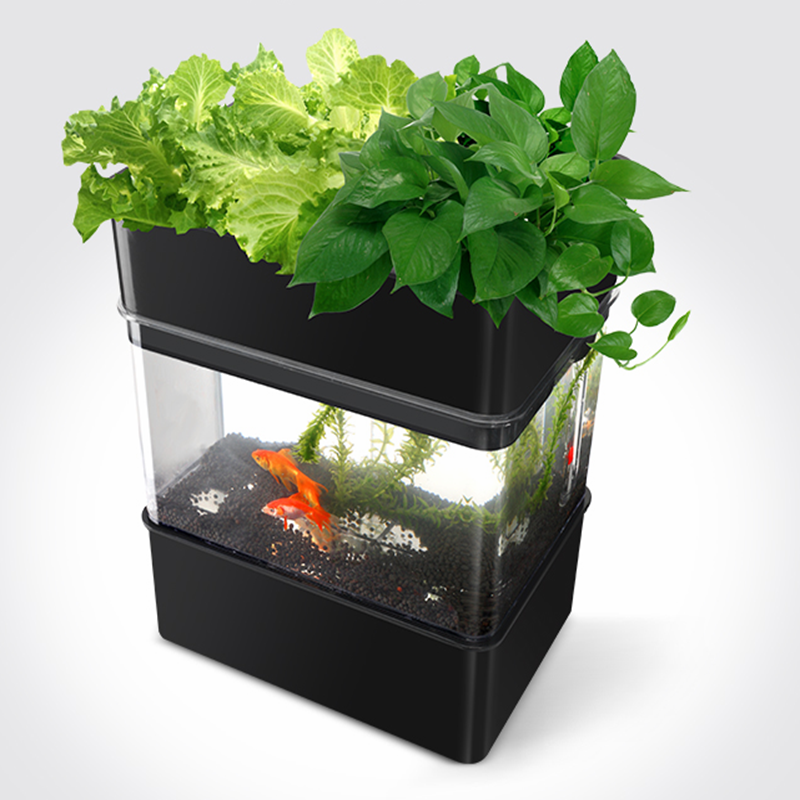 Smart Home Hydroponic Growing System Fish Culture Indoor LED Grow Light with Eco-Friendly Fishtank Flower Pots & Planters