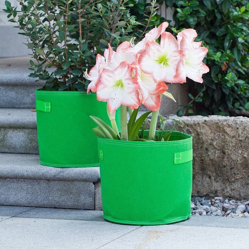 5 Gallon Fabric Pots, Plant Bags, Grow Bags, Seedling Planters