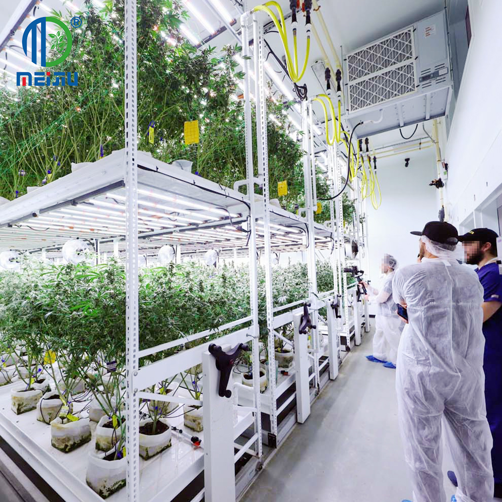 2-Layer Rolling Bench