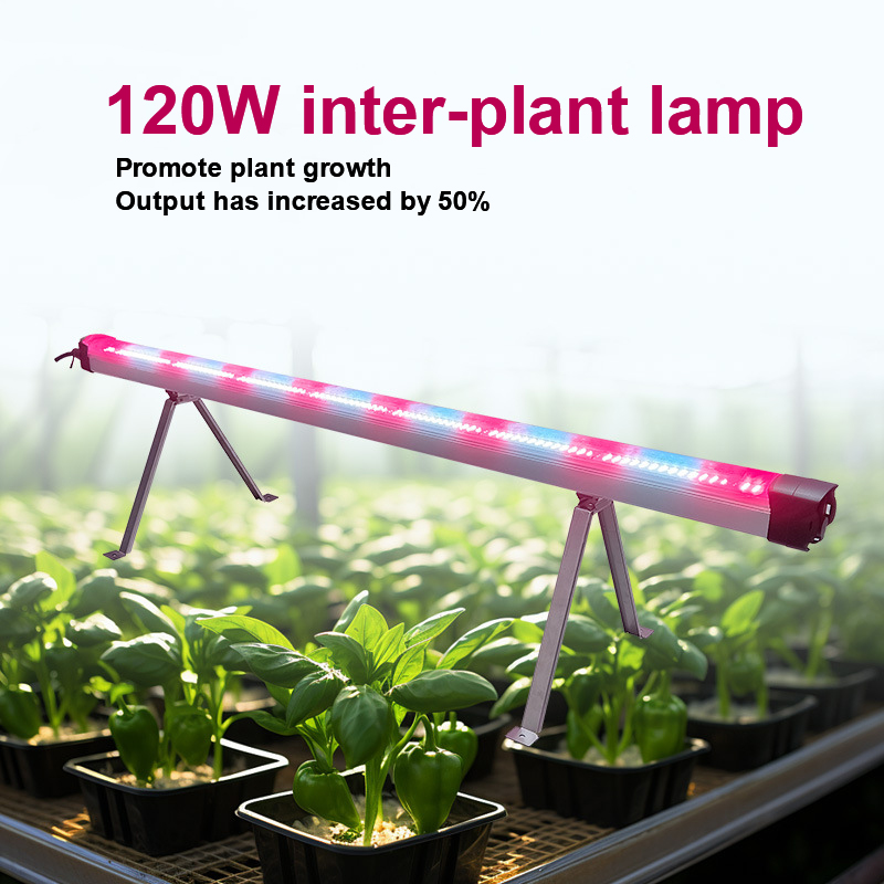 Dimmable IP66 Daisy Chained 120W Under Canopy LED Grow Lights with COB Chip and Aluminum Body for Plant Growth