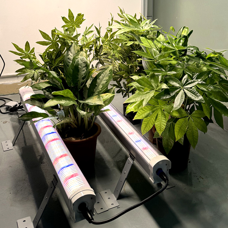 Supplemental Lighting Undercanopy LED Grow Bars for Canopies Cob LM301H Aluminum IP66 Spectrum Color for Plant Bloom