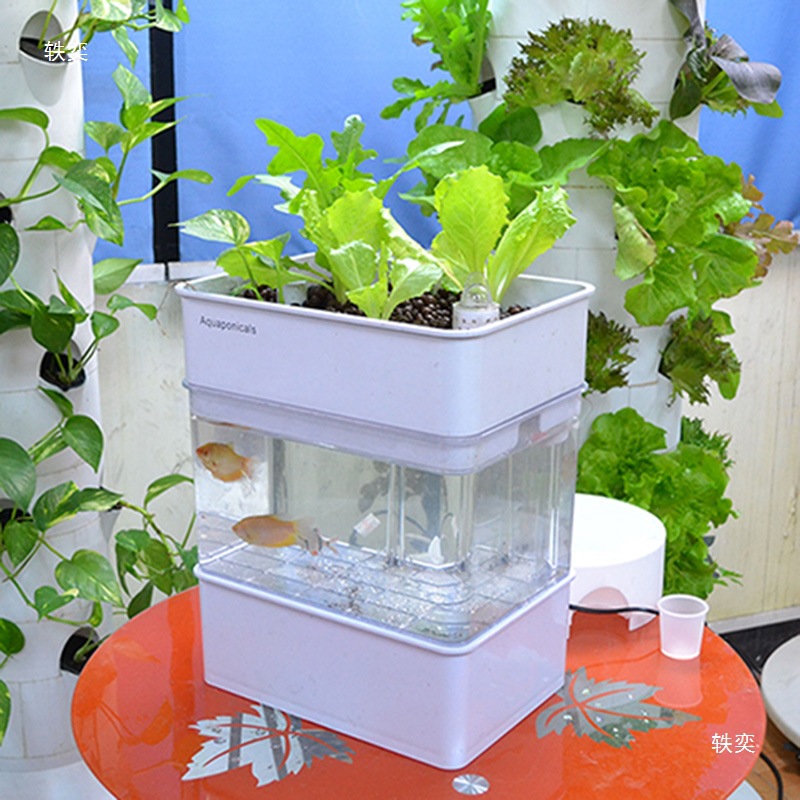 Smart Home Hydroponic Growing System Fish Culture Indoor LED Grow Light with Eco-Friendly Fishtank Flower Pots & Planters