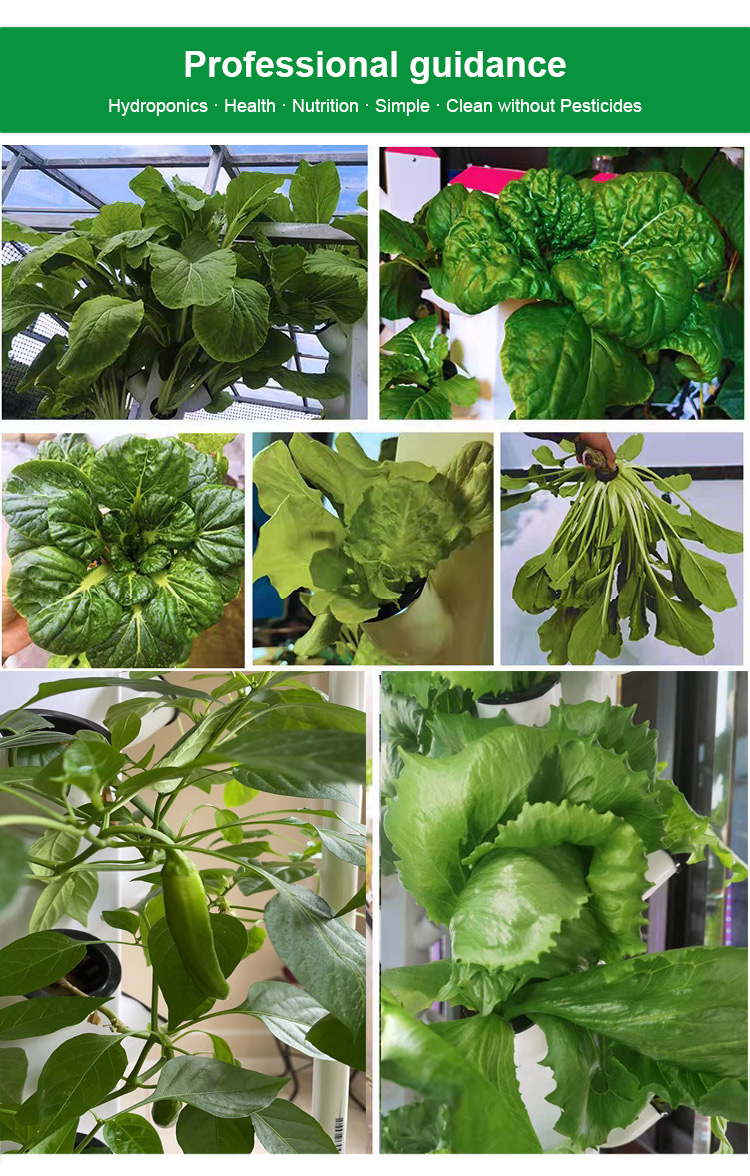New Agricultural Indoor Hydroponic System Tower Farming Vertical Growing System Hydroponic Tower for Planting Vegetable