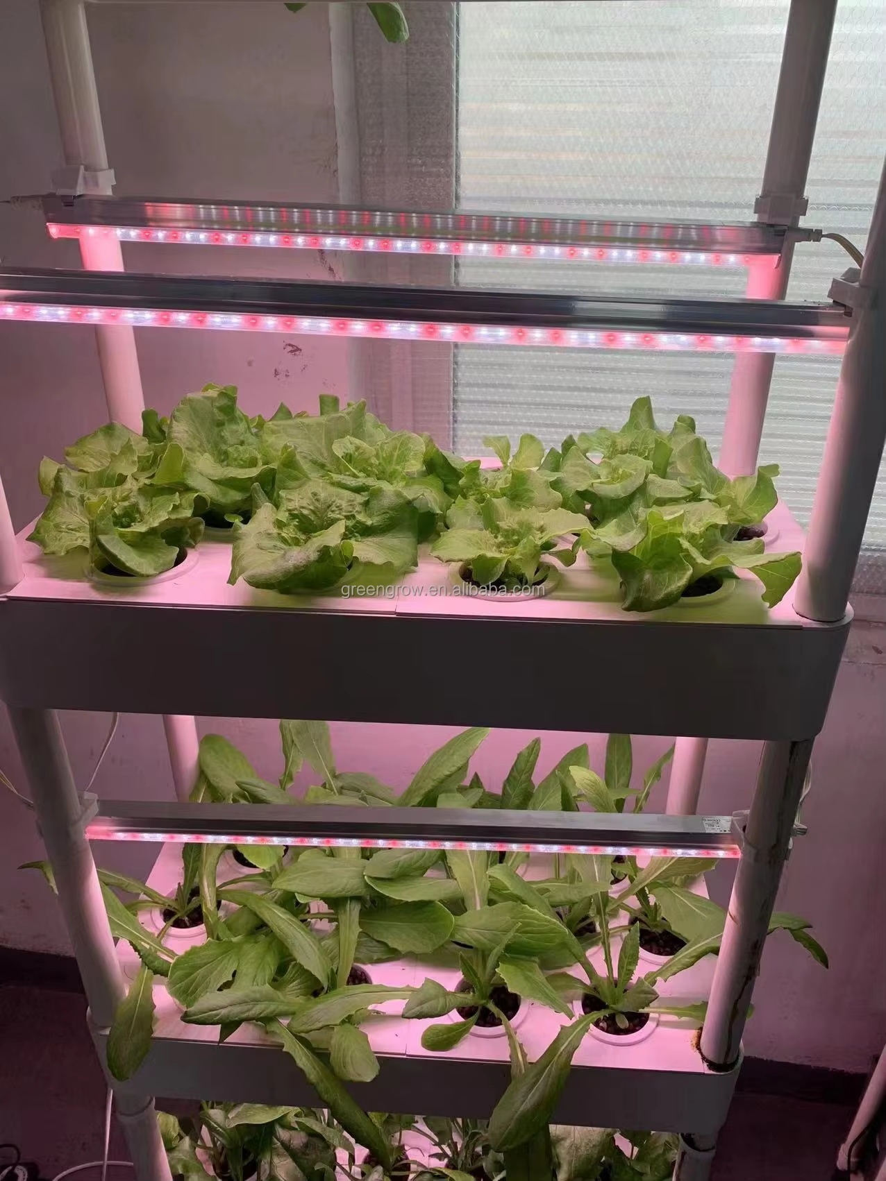 Balcony Gardening Vegetable Growing Hydroponic System for Kitchen 3-layer Smart Planter