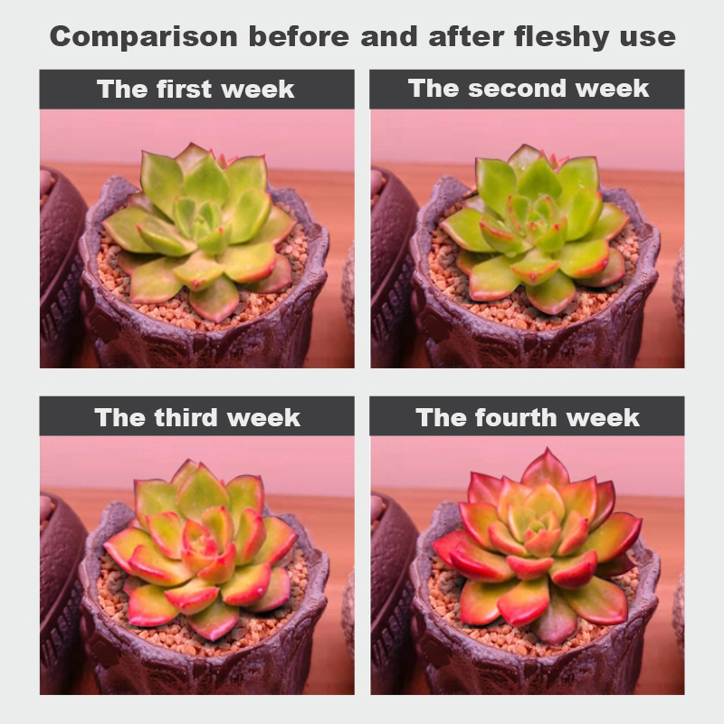 100W UFO LED Grow Light – Economical Model for Indoor Plant Growth, Full Spectrum High-Efficiency Grow Lamp for Hydroponics, Greenhouses, and Indoor Gardens"