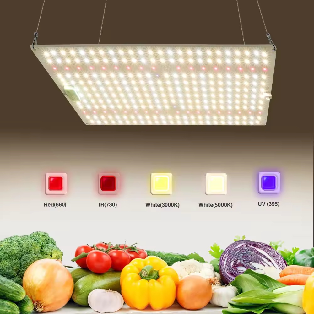 Versatile 4FT-8FT Full Spectrum LED Grow Panels for Indoor & Greenhouse Horticulture Applications
