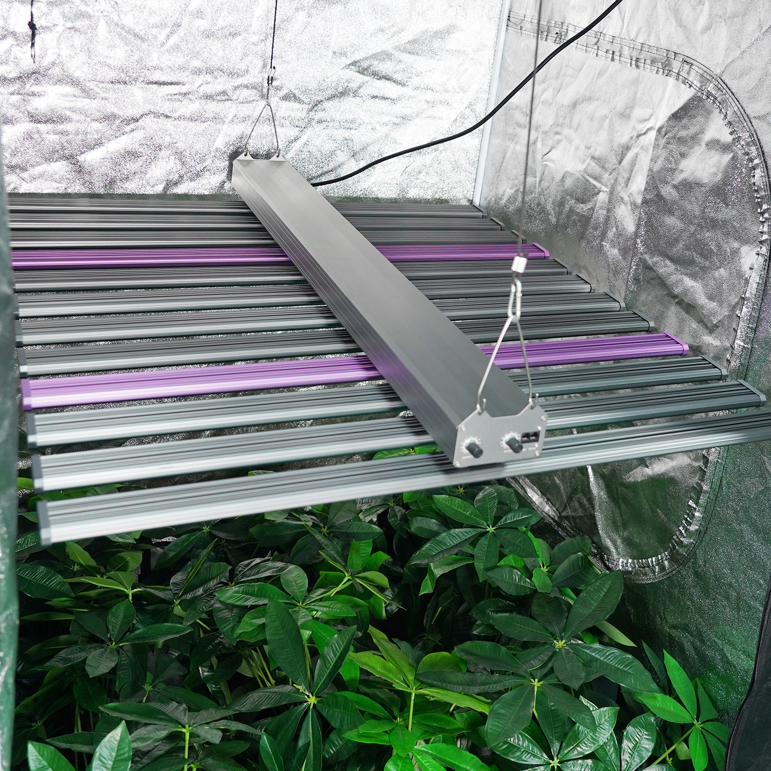 MEIJIU Hydroponic TX Max Indoor Grow High Efficiency 1260W Led Grow Light For Commercial Growing