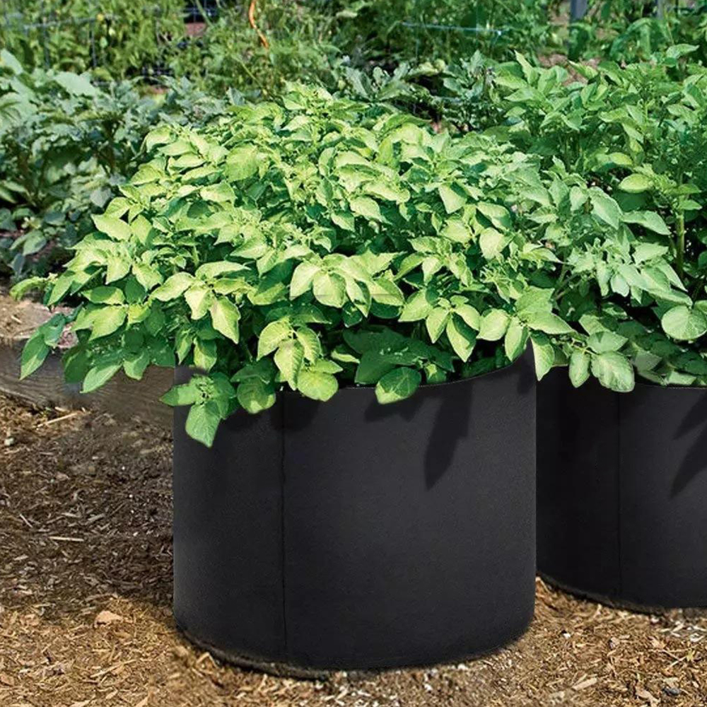 3 Gallon Grow Bags Thickened Nonwoven Fabric Pots with Handles, Multi-Purpose Rings